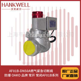 AF01B-DN50A燃气紧急切断阀 防爆 OAKO 品牌 常开 常闭AF01B系列