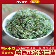 �������m����ș�����m����в�ș���m�ݺ����z��������[���F��ާ