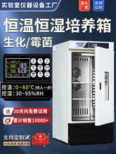 �������B��ù�����՚���ѿ���B������䌍��Ґa�ؐa����ԇ���