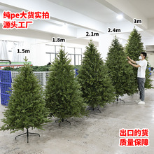 ���ڸ߶˴�peʥ����װ��ʥ����װ��Ʒ�����Դ��ƺ������ܷ�������