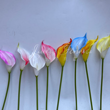 EVAzСRɏ滨cҾbˇֲ羳l