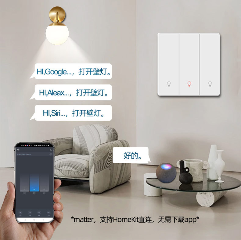 matter智能按键开关国标英规