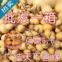 ���J�؃r����������С���J��Ʒ���lС���ְѼ���Ȼ���J�������