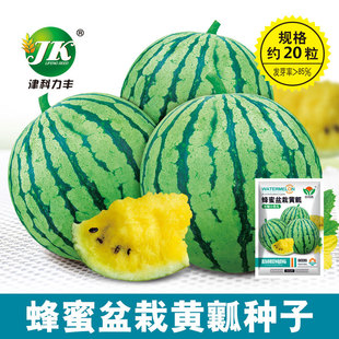 �S�����l���������SȿС���ϷN����С�P�S�ı�������ϷN���ļ���