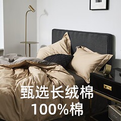 100本の軽豪華綿綿新疆長絨綿四点セット北欧風シンプルな純色のシーツのベッドカバー