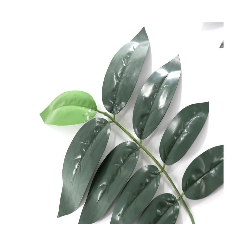 核桃叶单枝 (6).jpg