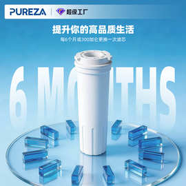 碧纯科技跨境爆款冰箱过滤替换净水器器碧纯滤芯适配于836848