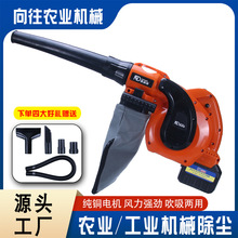 厂家供应吸吹两用鼓风机 清灰尘吹风机 大功率220v除尘器