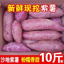 【粉糯香甜】新鲜沙地紫薯板栗地瓜红薯番薯蜜薯批发2/3/5/10斤整