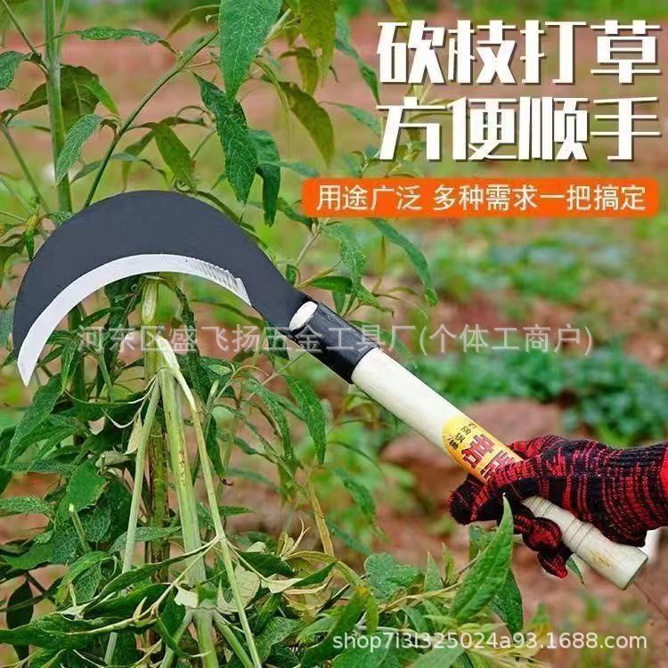 微信图片_202505121040111.jpg