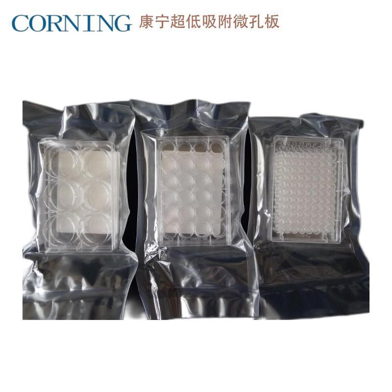 康宁Corning 3473 24孔超低吸附微孔板细胞培养板带盖灭菌 现货-阿里巴巴