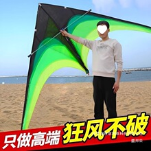 焰风筝大人大号成人专业巨型巨无霸潍坊户外娱乐其它