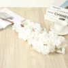 Encrypted cherry blossom pure white