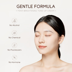 Cross-border Finishing Radiant Foundation Powder 1 Piece Pack 2g Moisturizing Concealer Brightening Facial Cream English Packaging