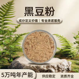 黑豆粉 褐色粉末 易溶于水 黑豆香味 干燥避光储存 现货批发
