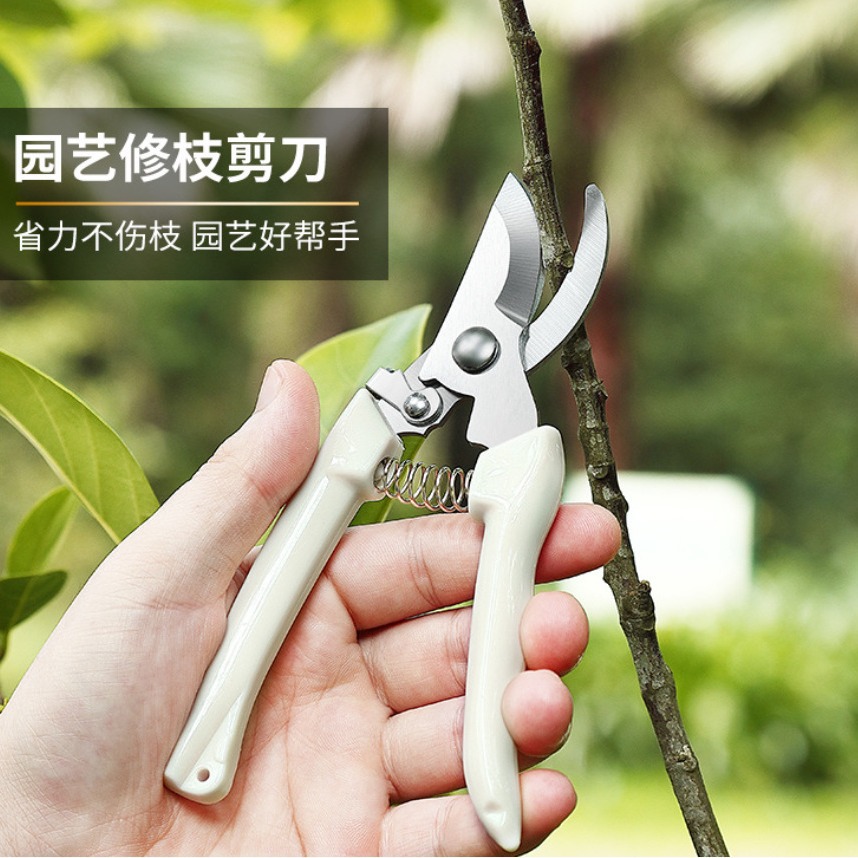 修枝剪全套园艺剪园林弯头花园剪刀摘果剪弹簧手动工具剪刀不锈钢