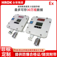 防爆温湿度计 防爆数显温湿度仪表防爆温湿探测器