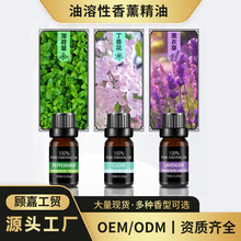 һ�����lOEMֲ����޹����޹�²ݱ�����ռ��ÔU��羳���l