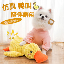 宠物玩具用品狗狗猫咪磨牙毛绒耐咬不烂自嗨发声冲锋鸭陪睡鸭批发