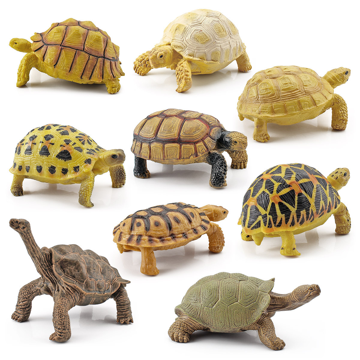 跨境儿童科教仿真两栖爬行动物模型陆龟象龟星龟静态装饰摆件玩具