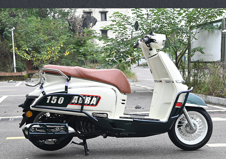 Suitable for Chunfeng Aura150 Front and Rear Exhaust Bumpers, Full Surround Guard Bars, Folding Backrest, Anti-Fall Modification