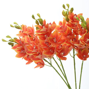 �r�Gɫϵ�����ָд󻨻��m ����Ͱ�������b���ٻ�11�^ޥ�m��