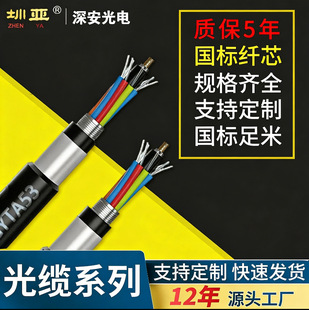 GYTA53������| �҃ȶ�ģ���|�p�o�ɽg늾���|Ƥ�����|�V�þ��|