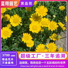 u]SշNӻɫ׷NB@־^Դ_ֲ