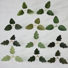 ����3����J�~���~�羳���N����Gֲ���ֲ��b��~�����l