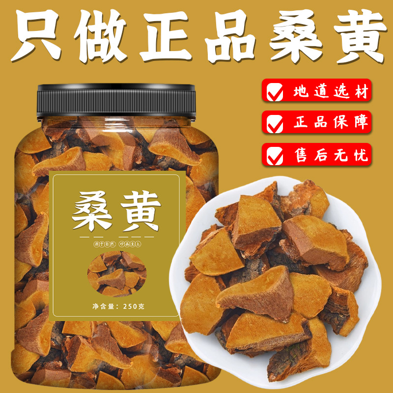 桑黄中药材西藏野生桑树桑黄的功效官方旗舰店500g干货灵芝泡水喝