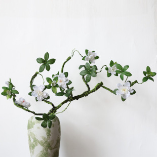 ��ʽ�U��ɻ����N��ӳɽ�t���滨�l��֦��ܛ�����b��Ҿ�����