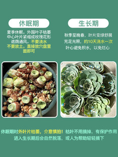 �ļ�����ɽ��õ��ˮ���ҾƱ���Ү�_�u������򻨾G����ֲ������