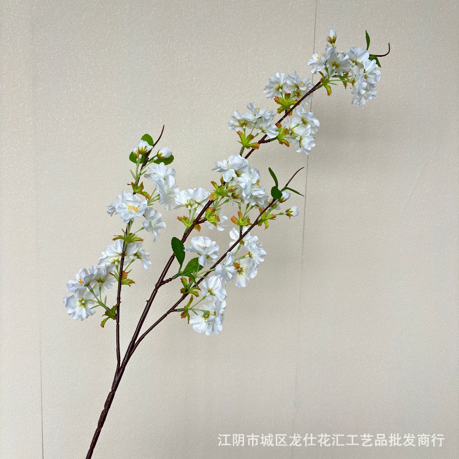 白色.jpg