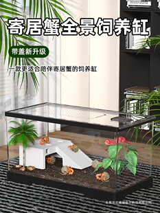 �з���쾰С�e����B��ľ�зС�����������̨��ܞ�����B��