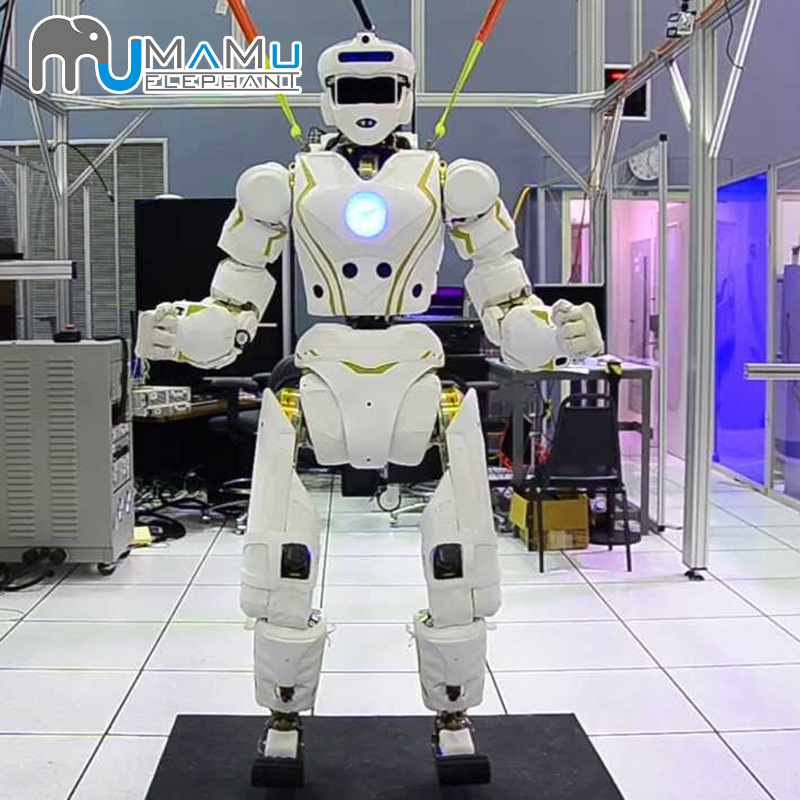 高端人型机器人配件套装 人型机器人核心配件 增强性能，延长寿命