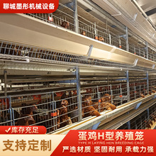 厂家直供 H4型蛋鸡育雏笼优质镀锌板钢丝网防啄防逃易清洁雏鸡专