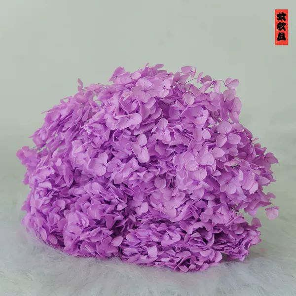 Taro purple/support