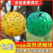 ���ļ��¿���ٌ�ω��ω�T����ᘷ��Tճ��ճ�x����ω���Tωͨ��