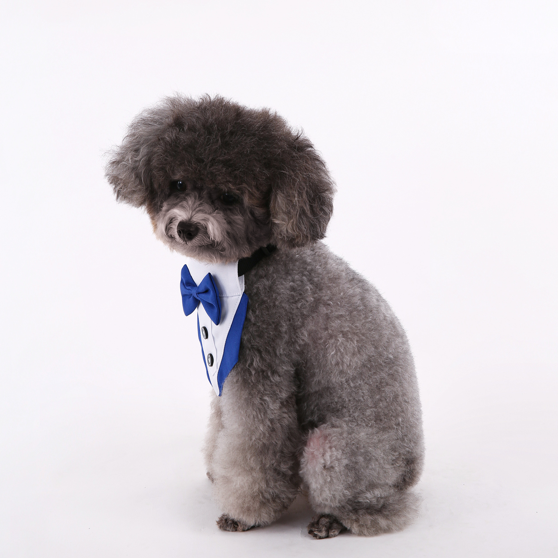 Transfronterizos nuevos trajes de boda de estilo británico perros y gatos toallas de saliva de boda toallas de triángulo para mascotas bufandas suministros