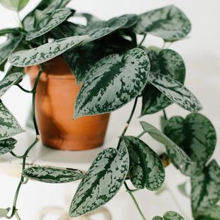 ���~�y�߸����ԾG�}����ֲ�ﱱ�Wins�҃ȿ�ˮ���ļ����B�G