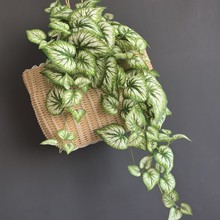 恆RdGֲԱڒ촹~WLK~ҾbڙҒ~