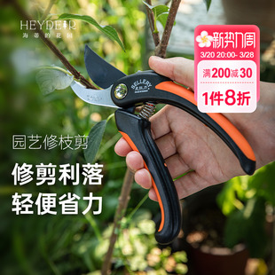 ���ٵĻ��@��֦�����P��¼�����ľ����ͥ�@ˇ��������