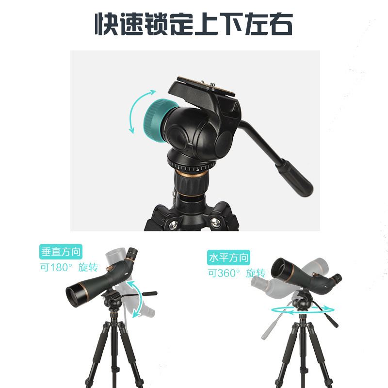 BOSMA BOGUAN TP36 망원경 사진 삼각대 양안/단안/조류 관찰 거울 적용 가능