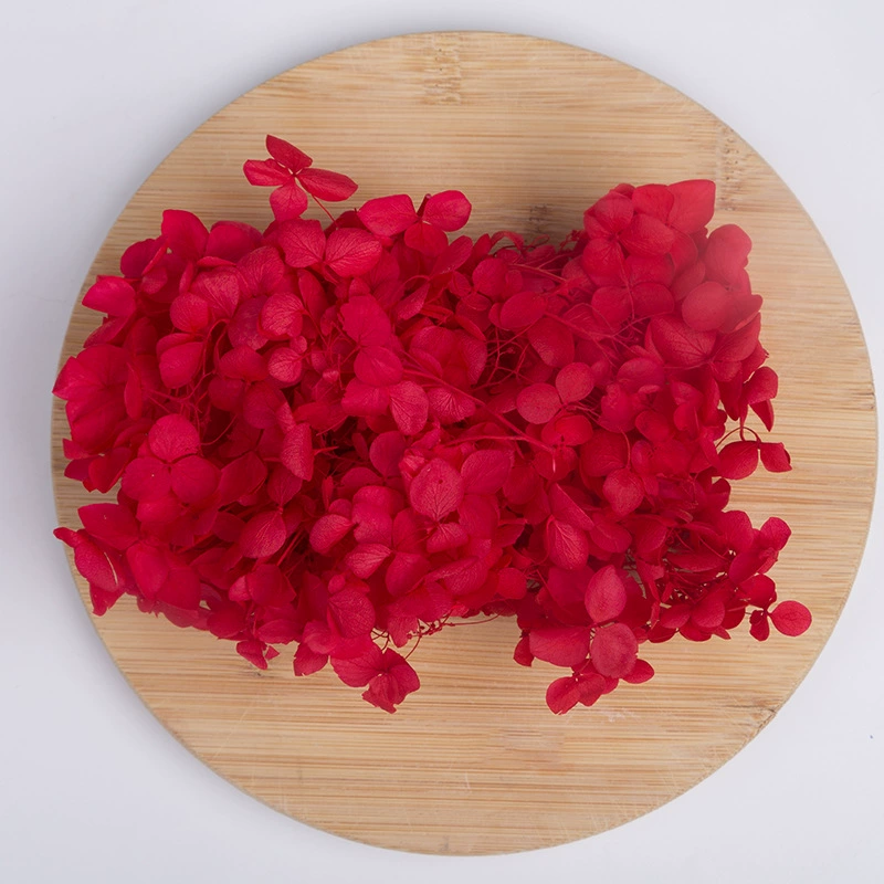 Вечный цветок Сухоцветная коробка Анна Гранди Hydrangea посыпанные лепестки цветов для лица свадьбы оформление Цветочный стиль