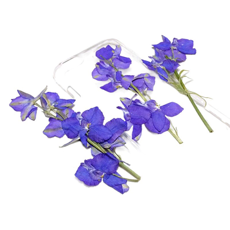 Поставка Ласточка цветок Дельфиниум цветок Сушеный Цветок Клей Чехол для мобильного телефона сушеный цветок материал сумка оптом
