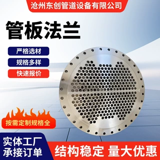 304管板法兰多孔板异型法兰盘换热器管板冷凝器蒸发器专用法兰