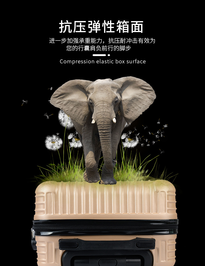 行李箱成人_07.jpg