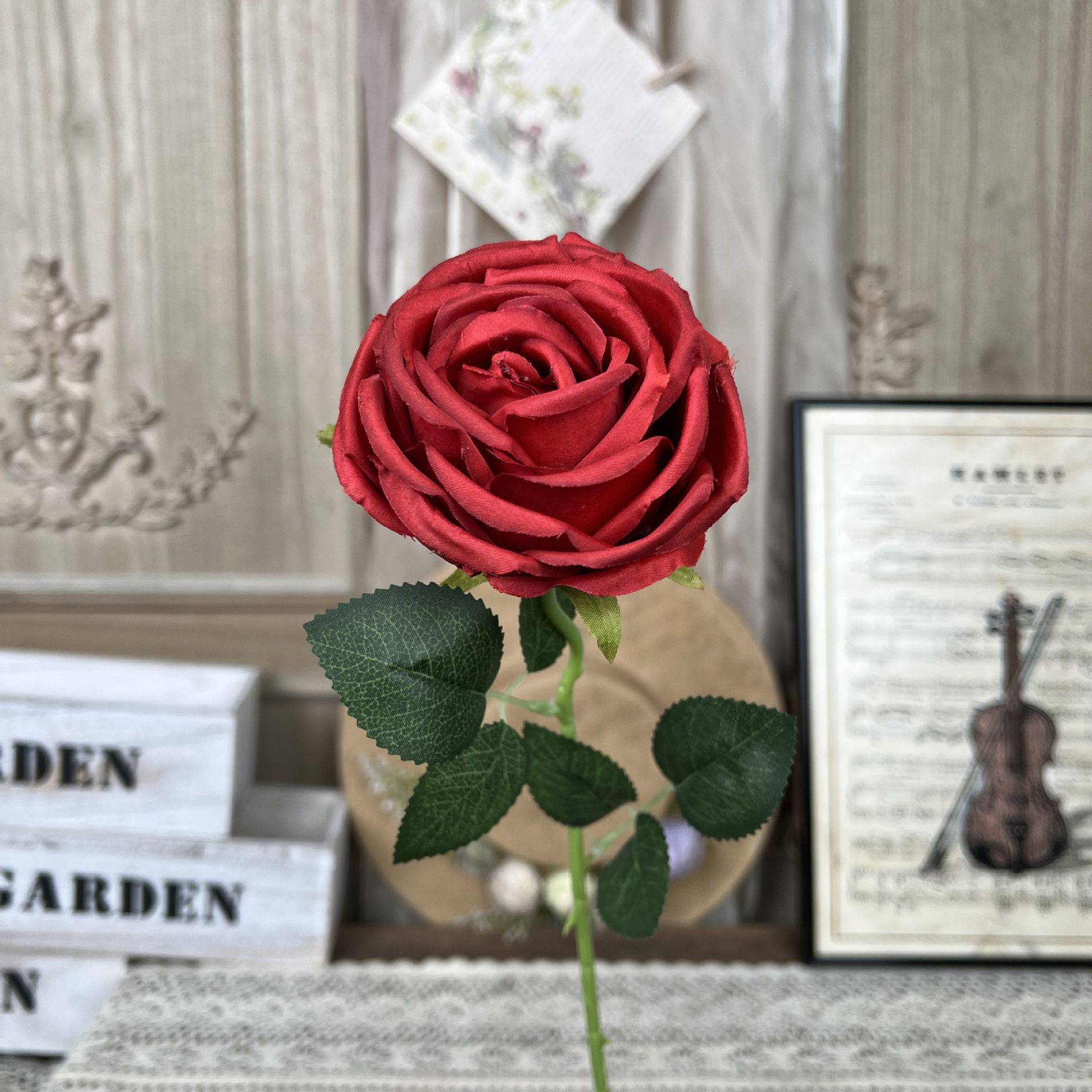 WP-Princesa única rosa-vermelha