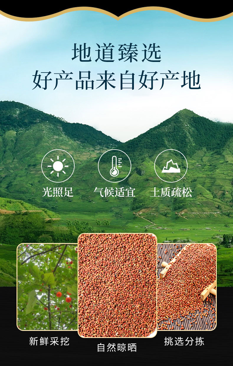 Chu Shi Zi (Broussonetia papyrifera Fruit) — Dried Food Herb Seed for Tea & Soup overview