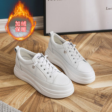 �＾�¿�С��Ь��ƤŮʽ���eŮ��Ь͸��W��Ь�и����eŮЬ�n��Ь